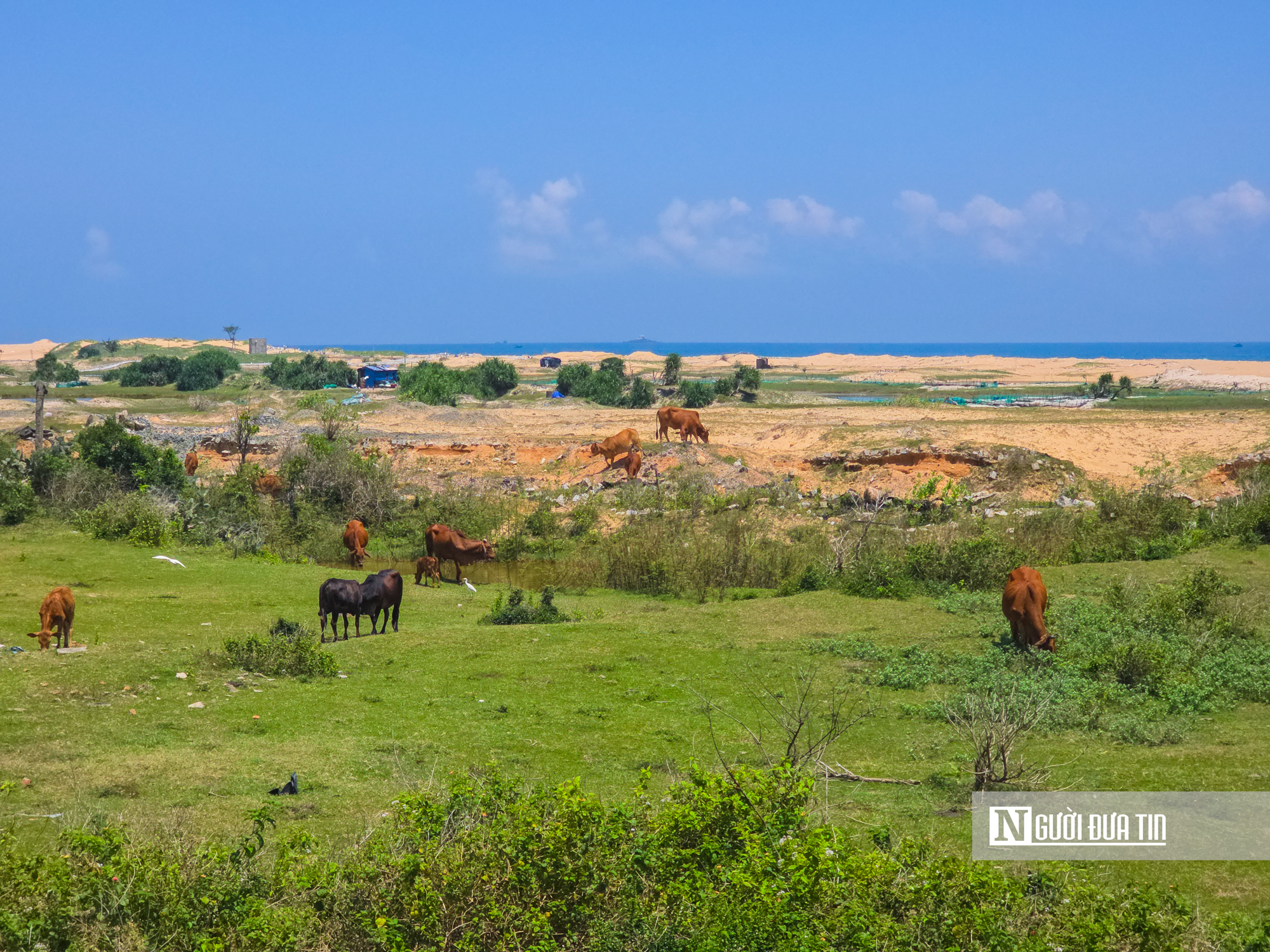 Thời điểm hiện tại, khu vực Bãi Gốc và phần diện tích đất xây dựng Khu công nghiệp Hòa Tâm là vùng đất bỏ hoang, người dân dùng chăn thả gia súc.