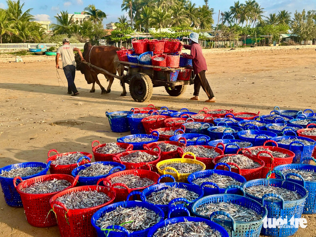 Các sản phẩm du lịch, đặc sản vùng biển Phú Yên luôn thu hút du khách