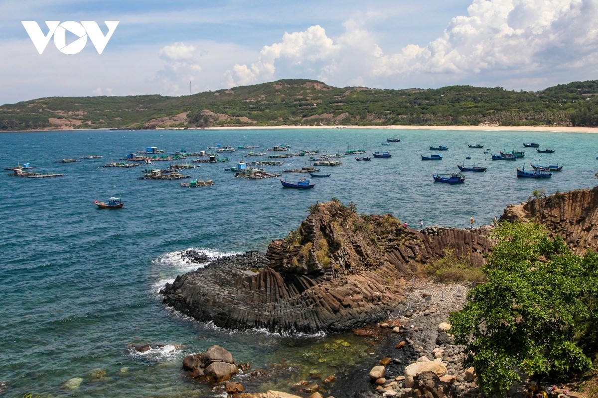 Danh thắng Gành Đá Đĩa tại xã Tuy An Đông, tỉnh Đắk Lắk (huyện Tuy An, tỉnh Phú Yên cũ)