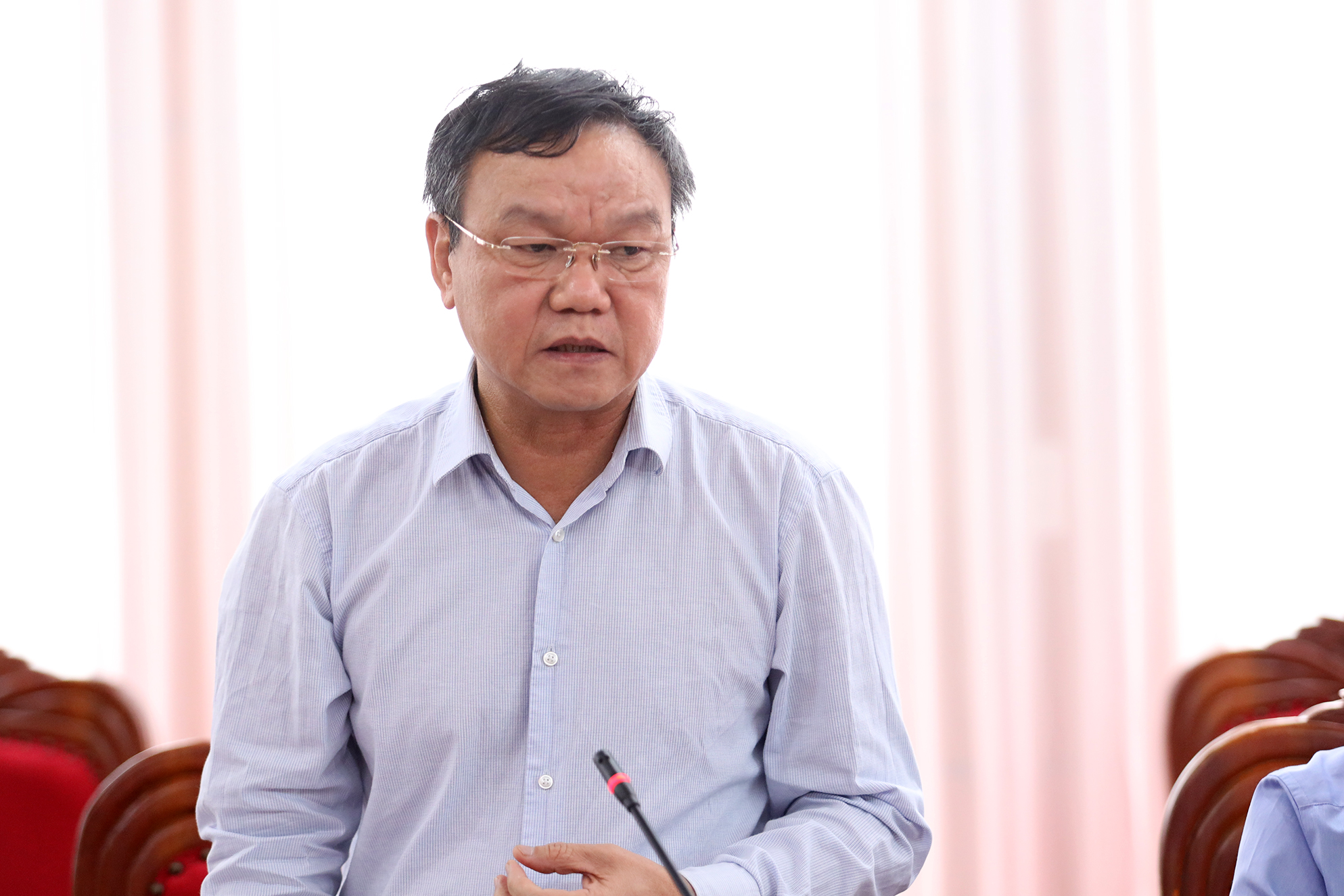 Phó Chủ tịch UBND tỉnh Đào Mỹ phát biểu tại cuộc họp.