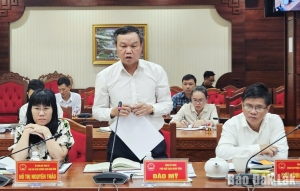 Phó Chủ tịch UBND tỉnh Đào Mỹ phát biểu tại cuộc họp.
