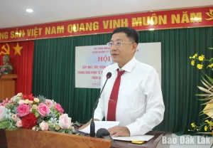 Ủy viên Ban Thường vụ Tỉnh ủy, Trưởng ban Quản lý Khu kinh tế Phú Yên Huỳnh Lữ Tân phát biểu tại hội nghị.