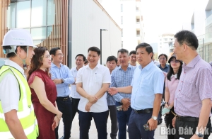 Bí thư Tỉnh ủy Lương Nguyễn Minh Triết cùng đoàn công tác kiểm tra thực địa Dự án Tổ hợp khách sạn, resort Việt Mỹ A&V.